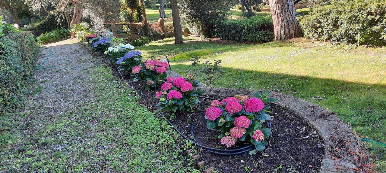 לבנטו Villa Tramonto מראה חיצוני תמונה